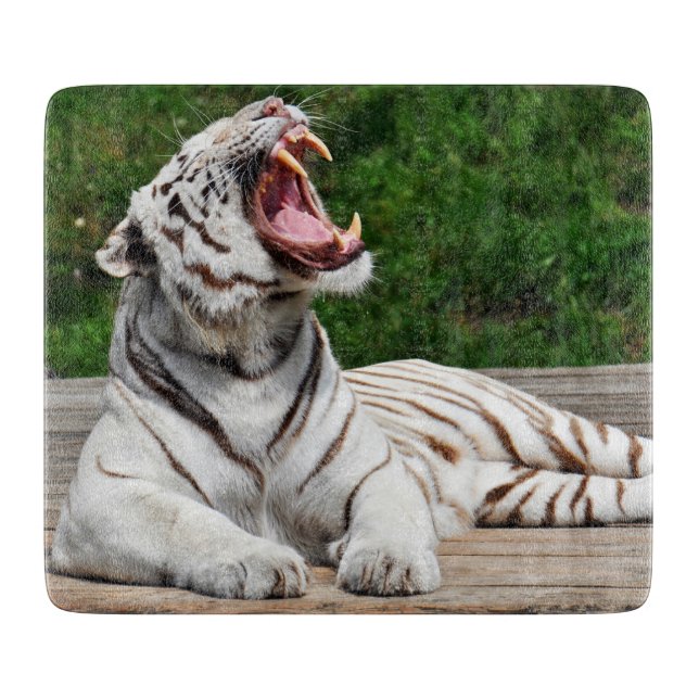 Tigre Blanco, Tabla de Cortar Tigre de Bengala (Anverso)