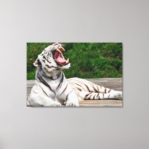 Tigre Blanco, Tigre de Bengala en Lienzo