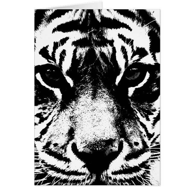 Tigre blanco y negro (Frente)