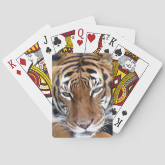 Tigre - Cartas de juego para bicicletas