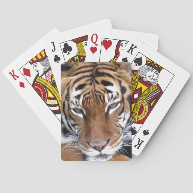 Tigre - Cartas de juego para bicicletas (Reverso)