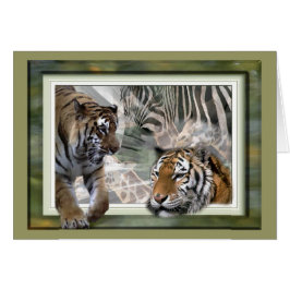 Tigre, cebra, jirafa, amantes de los regalos