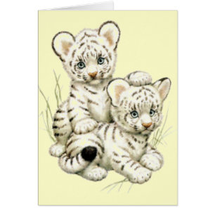 Tigre Cubs blanco lindo