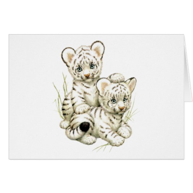 Tigre Cubs blanco lindo (Anverso (Horizontal))