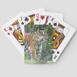 Tigre de Bengala - Cartas para jugar en bicicleta