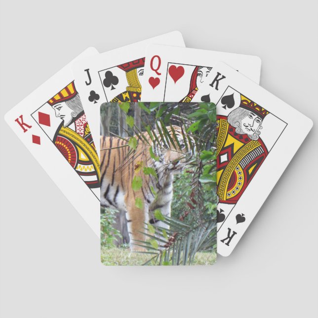 Tigre de Bengala - Cartas para jugar en bicicleta (Reverso)