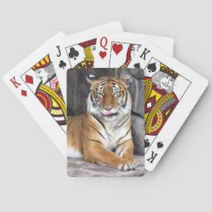 Tigre de Bengala - Cartas para jugar en bicicleta