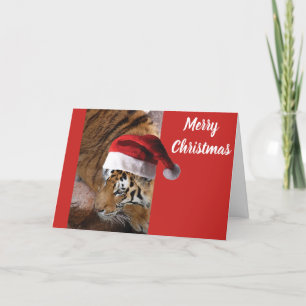 Tigre de Bengala de Navidad