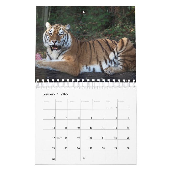 Tigre de calendario (Jan 2027)