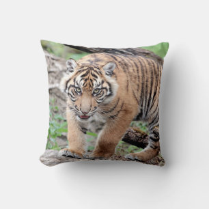 Tigre de fotos, gato, animales. arrojar almohada
