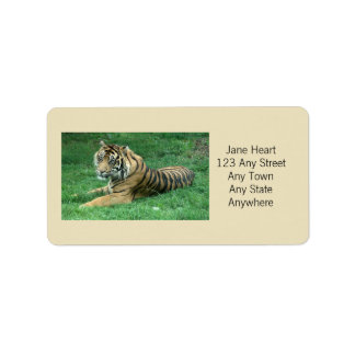 Tigre De Sumatra En La Etiqueta De Avery De Grass