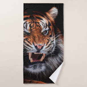 Tigre de Sumatra (Panthera tigris sumatrae)