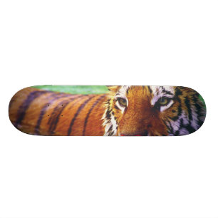 Tigre del monopatín