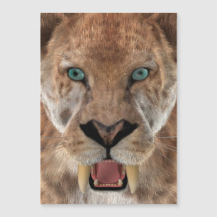 Tigre Dientes de Sable o Smilodon
