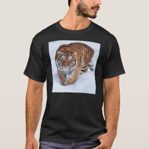 Tigre en camisa del hielo