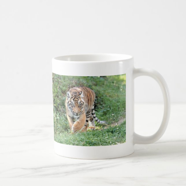 Tigre fotográfico, gato, taza de café (Derecha)