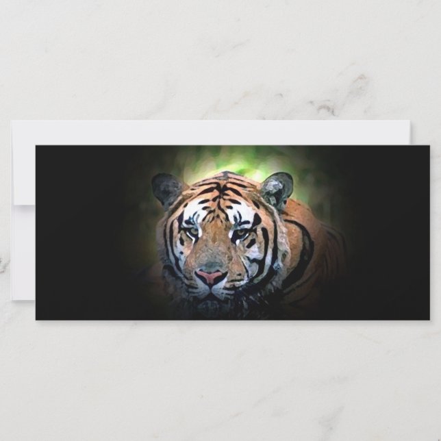 Tigre - Gato grande salvaje (Anverso)