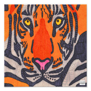 Tigre - Impresión fotográfica