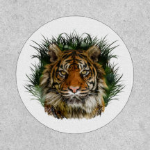 Tigre mirando a través de la hierba