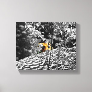 Tigre Peek-a-boo Lienzo 10x8
