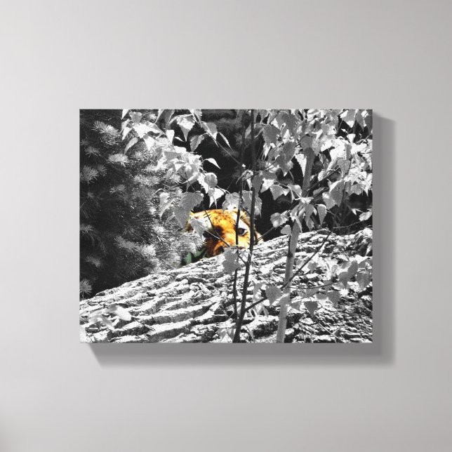Tigre Peek-a-boo Lienzo 10x8 (Anverso)
