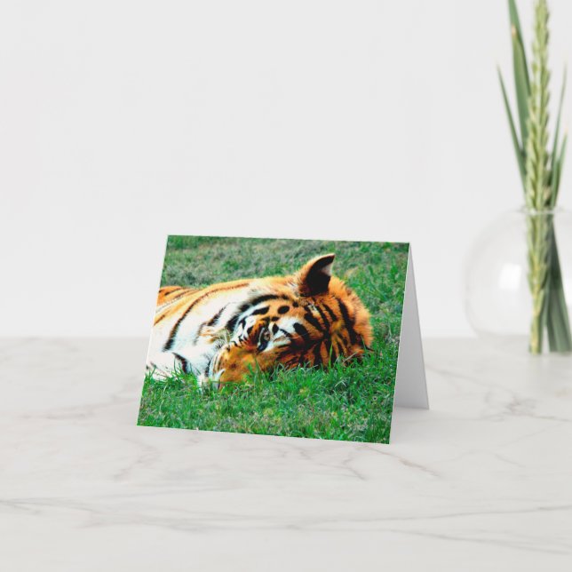 Tigre que miente abajo tarjeta de nota (Anverso)