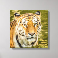 TIGRE SIBERIANO EN IMPRESIÓN DE LONA