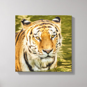 TIGRE SIBERIANO EN IMPRESIÓN DE LONA