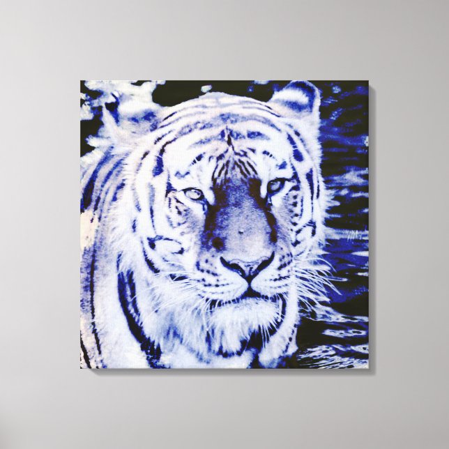 tigre siberiano en lienzo envuelto (Anverso)