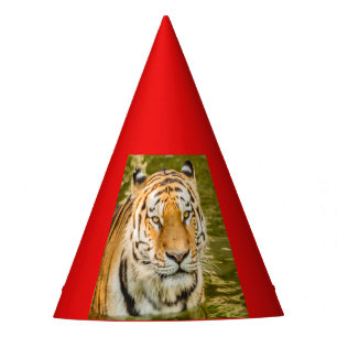 TIGRE SIBERIANO en sombrero de fiesta
