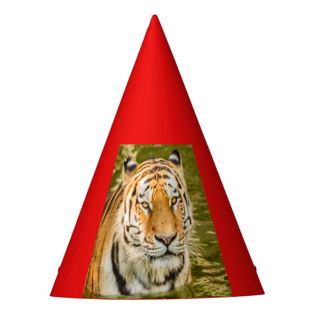 TIGRE SIBERIANO en sombrero de fiesta (Anverso)