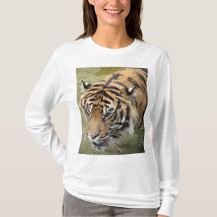 Tigre siberiano foto camiseta de manga larga para