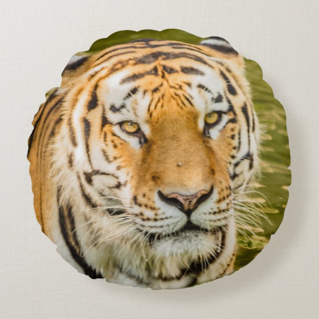 tigre sobre almohada redonda (Anverso)