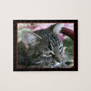 Tigre Stripe Kitty Jigsaw Puzzle
