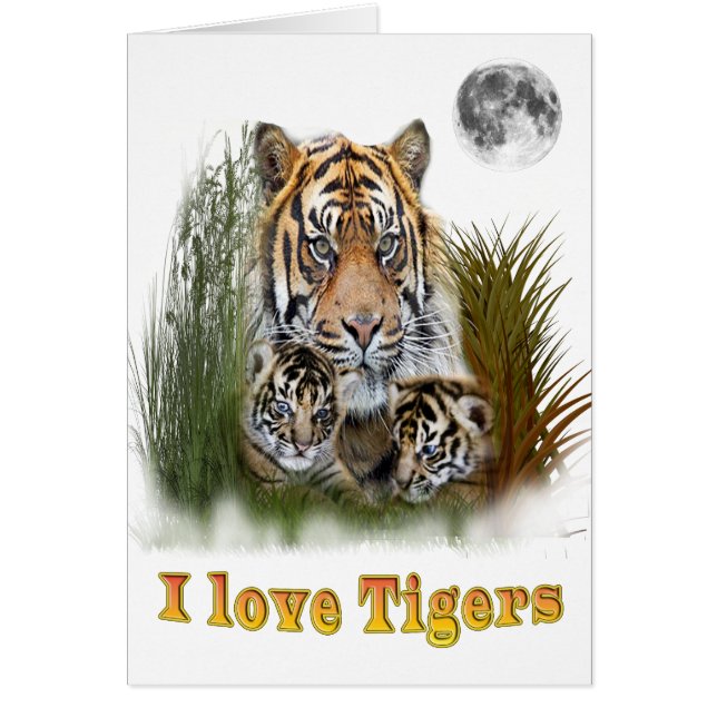 Tigre y cachorros (Frente)