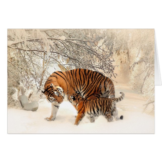 Tigre y Cub de la madre en las maderas Nevado (Anverso (Horizontal))