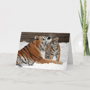 Tigre y tarjeta del Día de la Madre de Cub