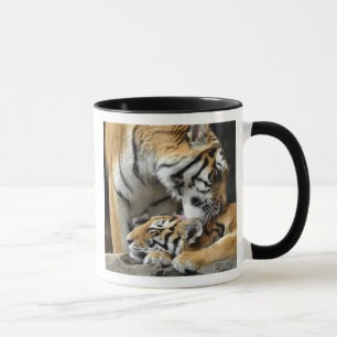 Tigre y taza de Cub