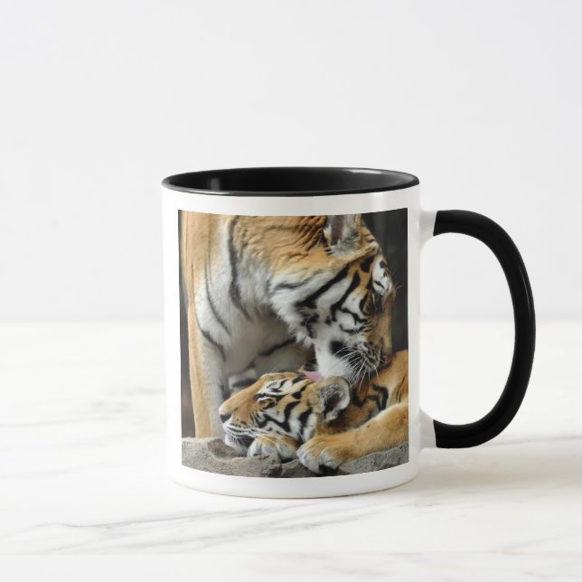 Tigre y taza de Cub (Derecha)