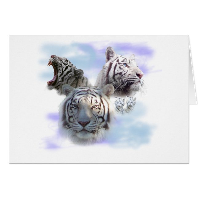 Tigres blancos (Anverso (Horizontal))