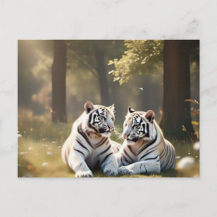 Tigres Blancos Etéreos – Postal del Bosque