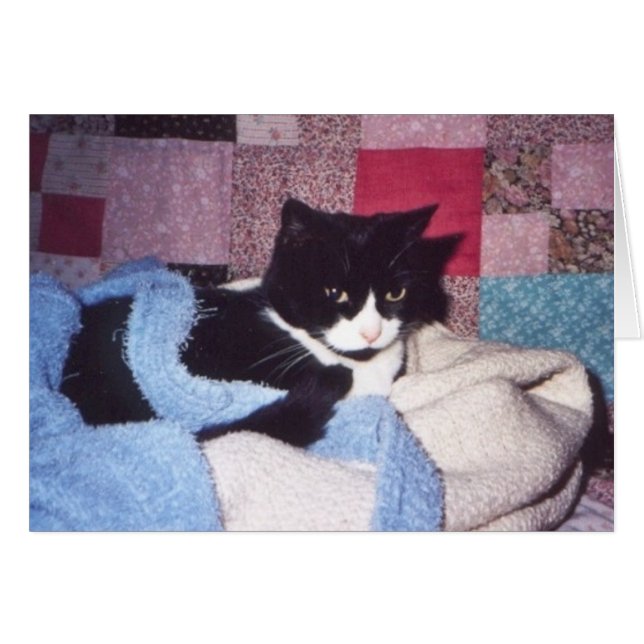 "Tiki acogedor" (Anverso (Horizontal))