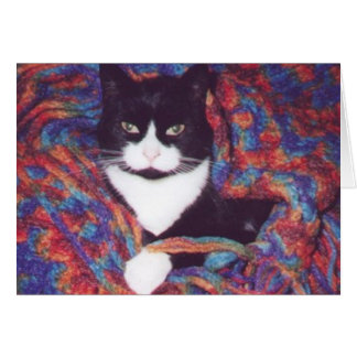 "Tiki en el afgano de Doug"