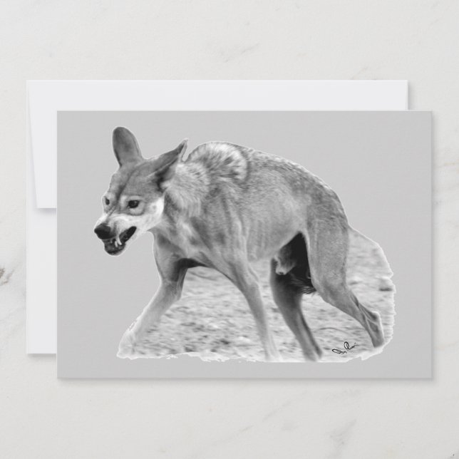 Timber Wolf Snarl (Anverso)