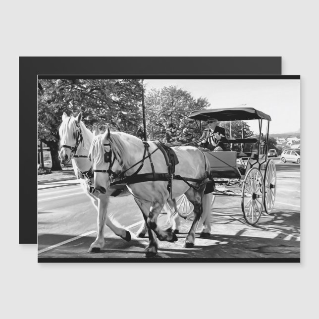 Timeless Journey Magnetic Card (Anverso/Reverso)