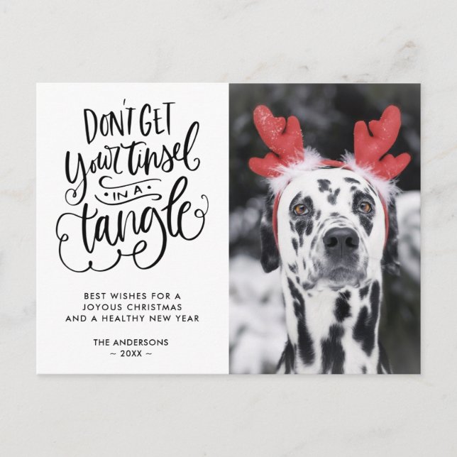 Tinsel en un Navidad de fotos de perros divertidos (Anverso)