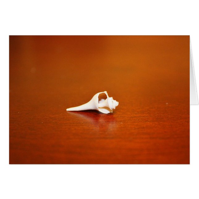 Tiny Shell (Anverso (Horizontal))