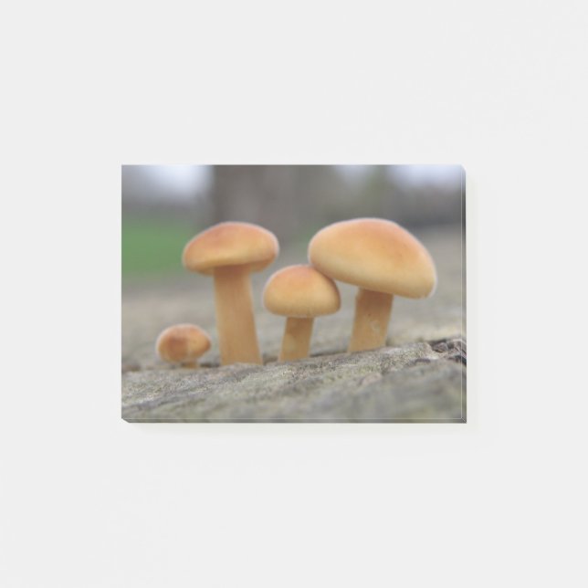 Tiny Toadstools Macro Post nota (Anverso)