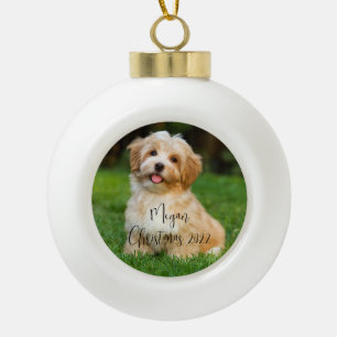 Tipo Bola Adorno de cerámica para perro con foto personaliza
