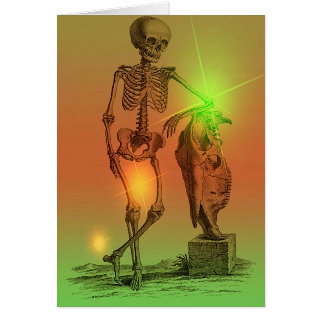 Tipo de Newf (Frente)